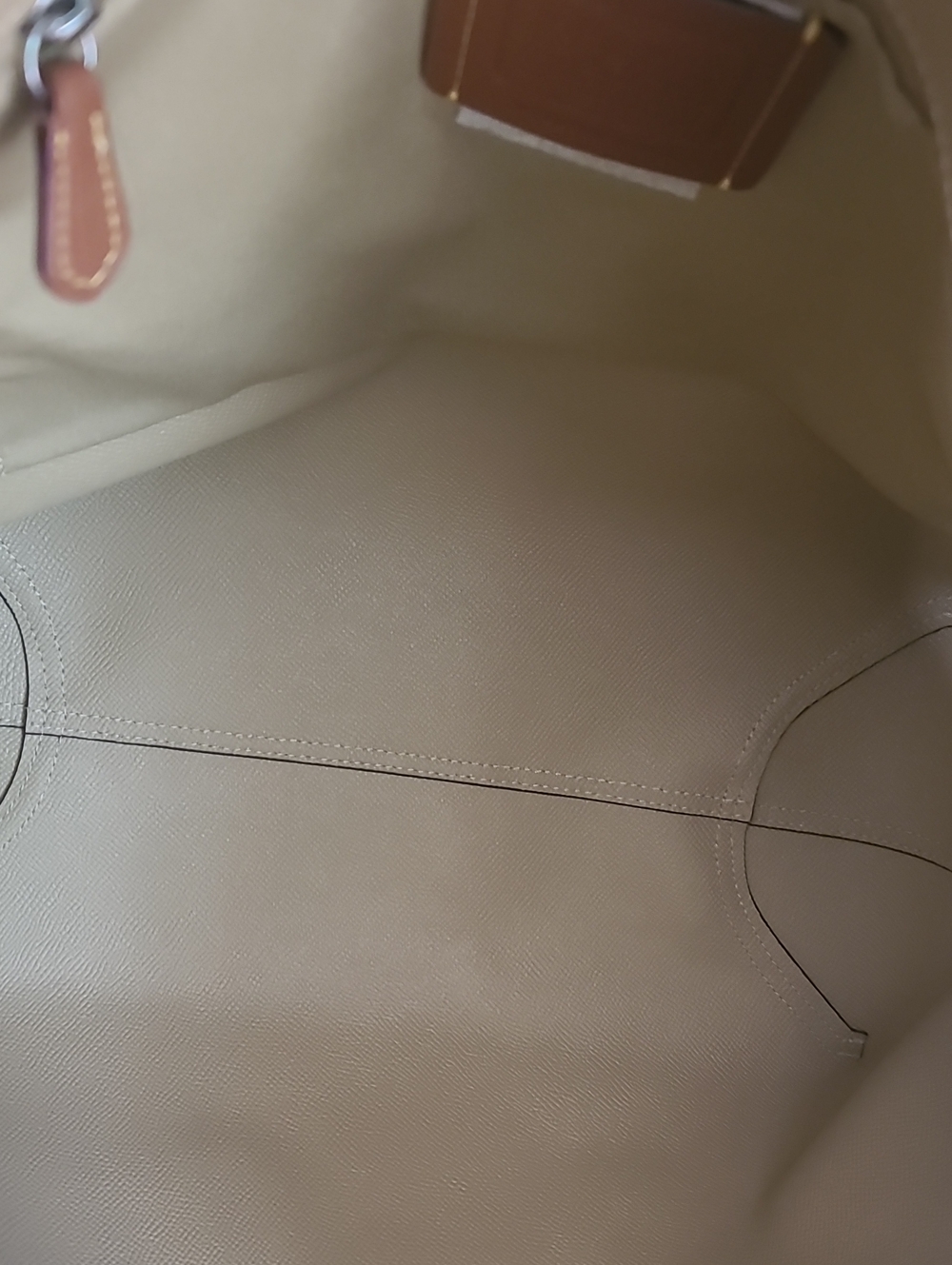 NWOT Coach Lemon-Print Tote in Pale Yellow with Tan Trim - Picture 10 of 16